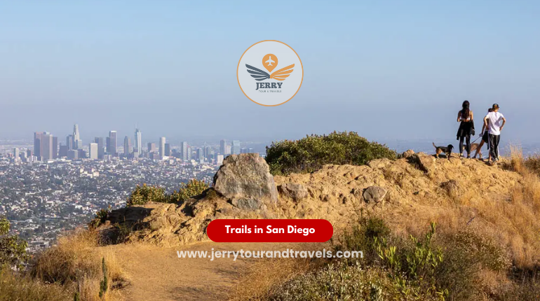 Best Hiking Trails in Los Angeles Urban Escapes with Stunning Views