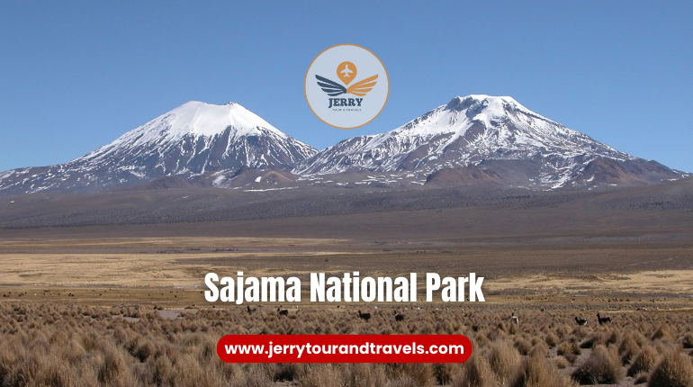 Hiking in Bolivia at Sajama National Park, featuring towering volcanoes, serene lagoons, and high-altitude landscapes.