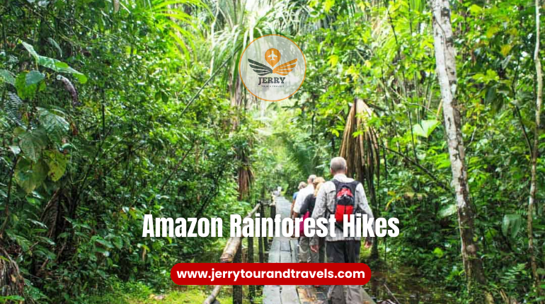 Hikers walking through the lush greenery of the Amazon Rainforest in Ecuador, surrounded by towering trees and vibrant biodiversity, showcasing the allure of hiking in Ecuador.