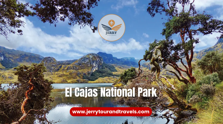 A serene view of hikers exploring the rugged trails of El Cajas National Park in Ecuador, surrounded by high-altitude lakes and misty mountain landscapes, perfect for hiking in Ecuador.